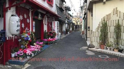 かの有名な信太山新地の銀ねこに行ってきた、結果は…